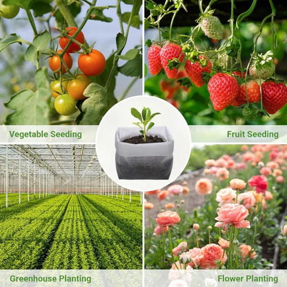Biologisch abbaubare Anzuchtbeutel aus Vlies
