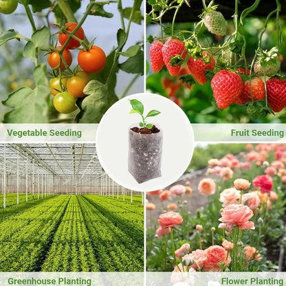 Biologisch abbaubare Anzuchtbeutel aus Vlies